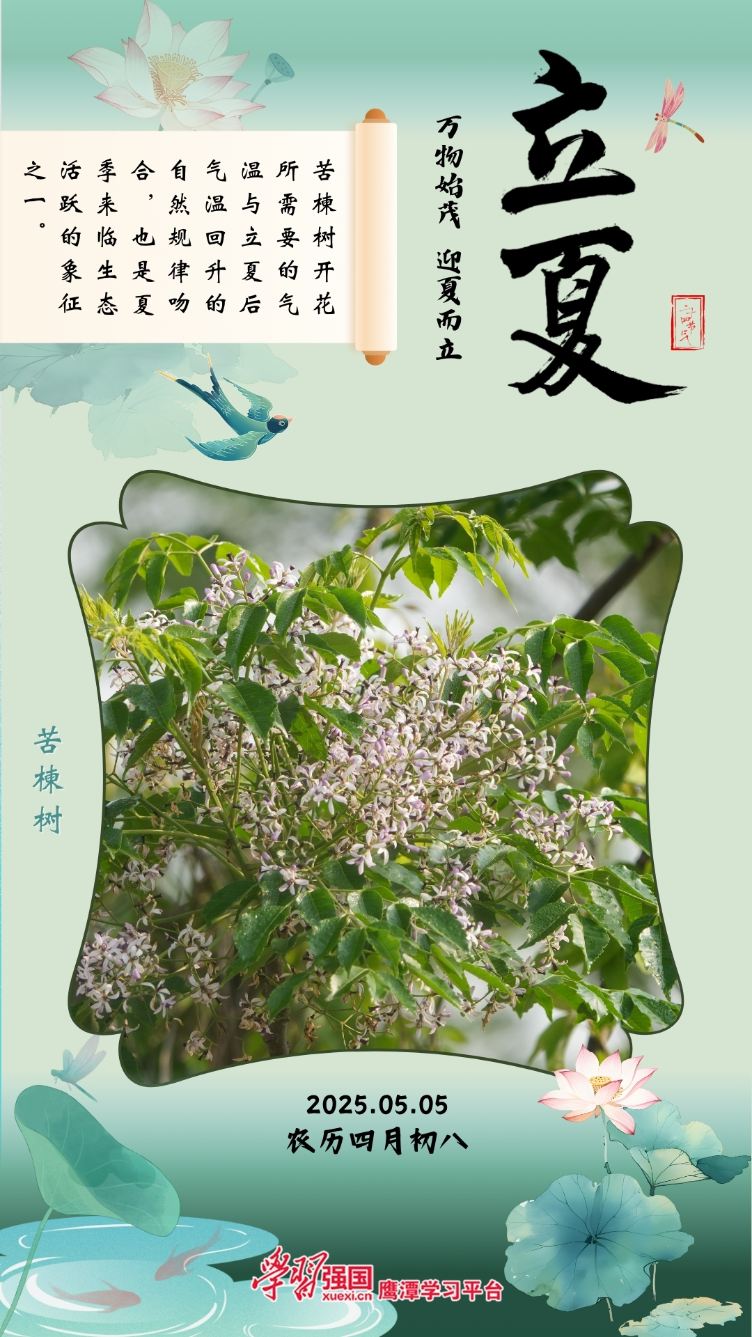 海报|鹰潭：万物始茂 迎夏而立