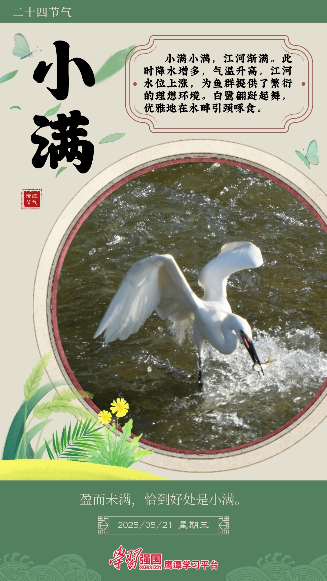 海报｜鹰潭：盈而未满 恰到好处是小满