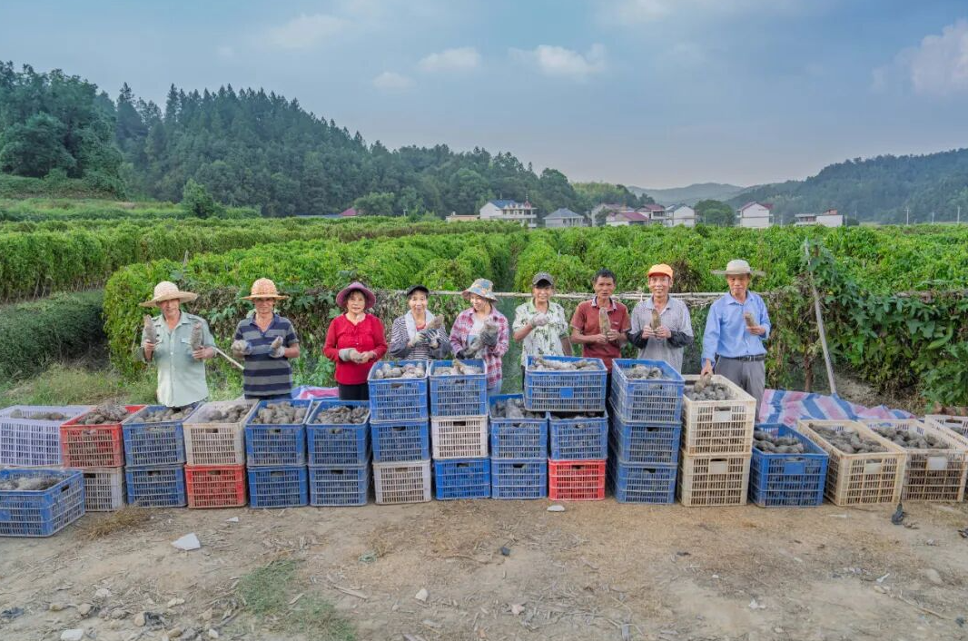 一张路网，如何改写乡村蜕变剧本?