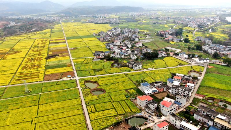 省委书记尹弘在《新华每日电讯》发表署名文章