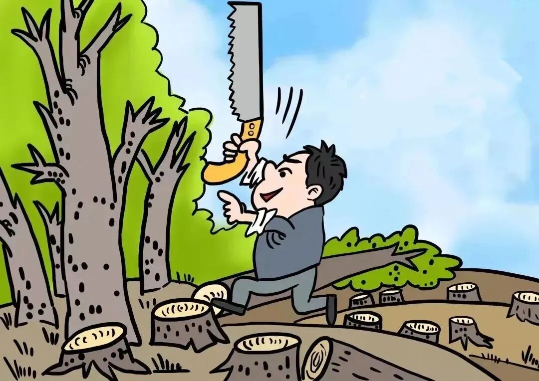 盗伐集体山场林木并售卖?依法判罚!