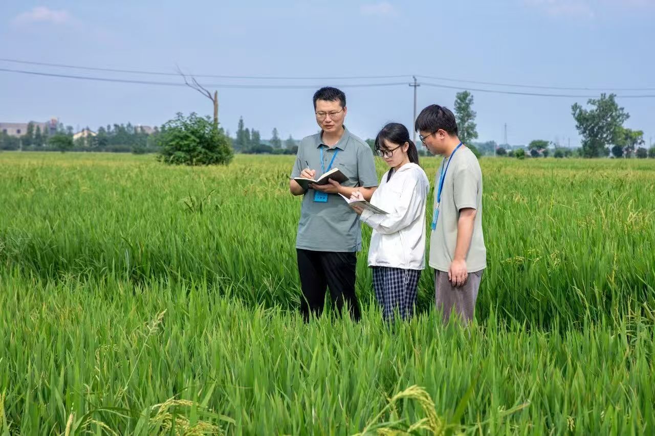 余江区：铁纪护航高标准农田 精准监督筑牢粮食安全防线