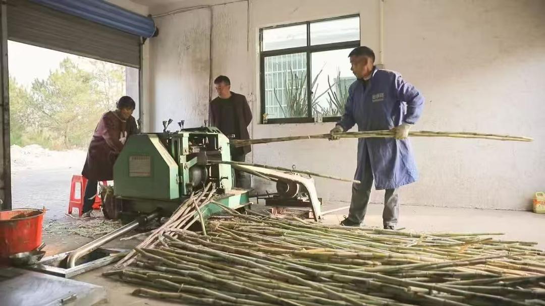 余江区：特色产业绘就现代农业新图景